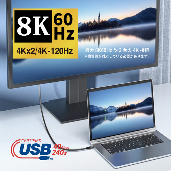 USB4-240W-12
                      